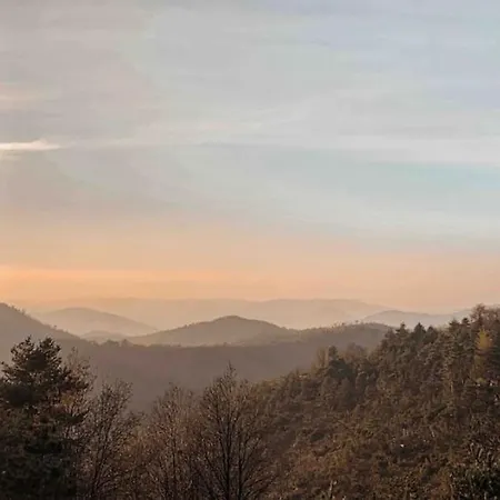 Peaceful Mountain Retreat - Private *
