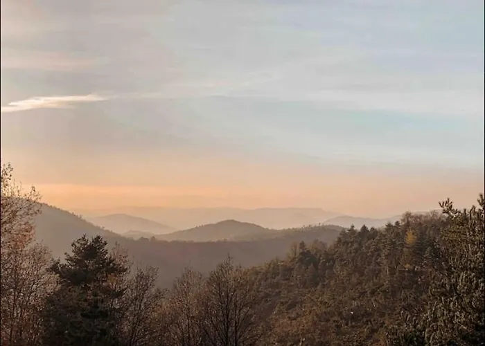 Peaceful Mountain Retreat - Private *