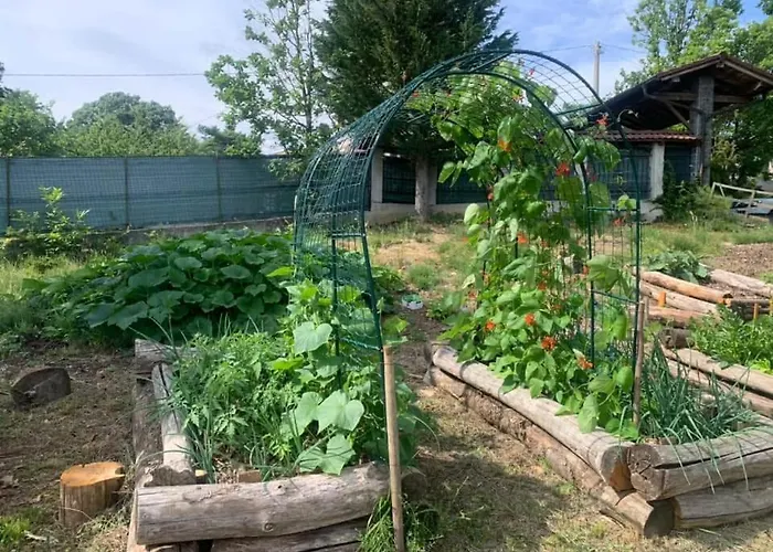 Hébergement de vacances Peaceful Mountain Retreat - Private